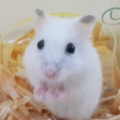 Thumbnail of related channel