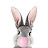 HoneyBunny Bunny