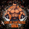 What could Carlos Santacruz MMA buy with $120.7 thousand?