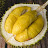 Durian Epicurean
