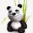 cool panda
