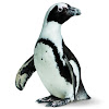 What could California Academy of Sciences buy with $100 thousand?