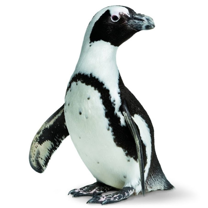 California Academy of Sciences Net Worth & Earnings (2026)