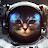 Space Cat
