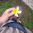 Mauitao Avatar