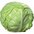 Cabbage