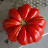 Tomatensamen Top