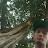 profile_pic