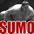 The Original Sumo911