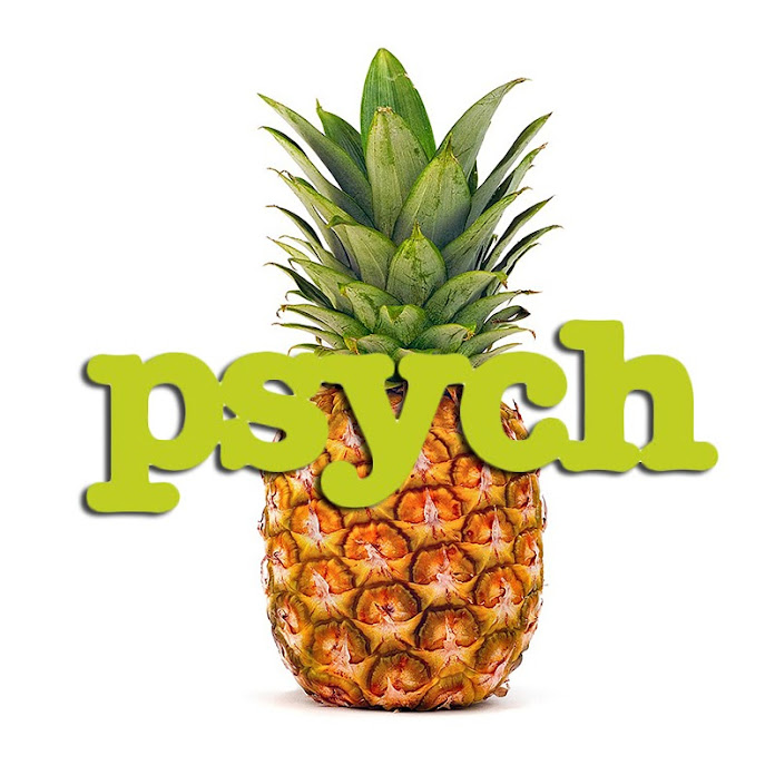 Psych Official Net Worth & Earnings (2024)