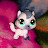 Tony_ cat