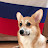 Анна Гладкая