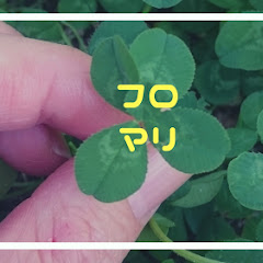 フローズン•マリーの神託