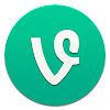 What could Funny Vines buy with $330.34 thousand?