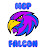 MgP Falcon