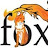Fox Focus