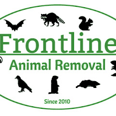 Thumbnail of related channel