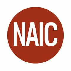 NAIC net worth