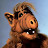 ALF