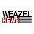 Weazal News IERP