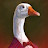 GOOSE_27