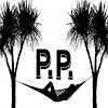 What could PP: Passport Pages buy with $100 thousand?