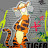 Tigrash Zebro