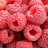 Razz Berries
