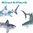 CdawiSharkPark