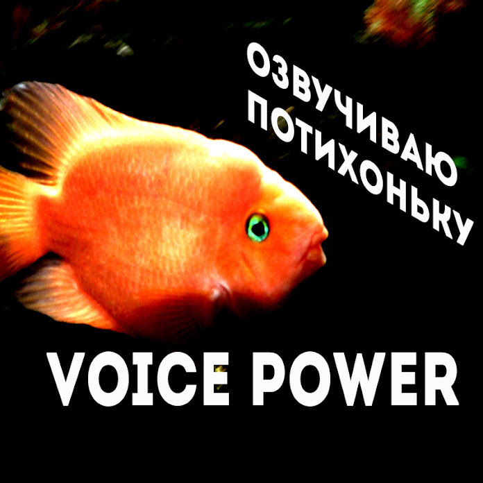 VoicePower Net Worth & Earnings (2026)