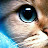 Neko Neko