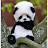 panda 1