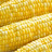 Corn Corn