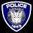 Decepticon Police Force