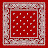 bandana121