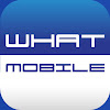 What could whatmobile buy with $100 thousand?