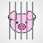 Pig in a Cage