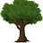@TPM330 Avatar