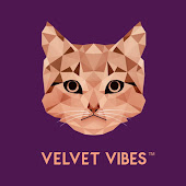 Velvet Vibes Music