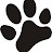 Paw Prints