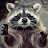 MrRaccoon