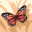 @user-qt6zy5qe9s