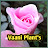 Vaani Plants
