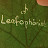 Leafophonist
