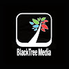 What could BlackTree TV buy with $1.5 million?
