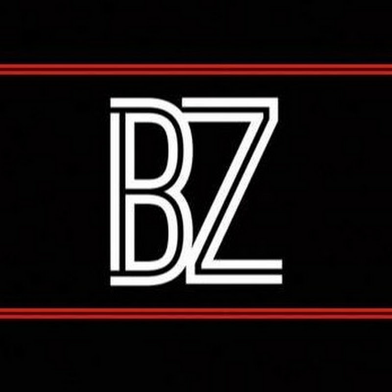 Logo for BalterZ