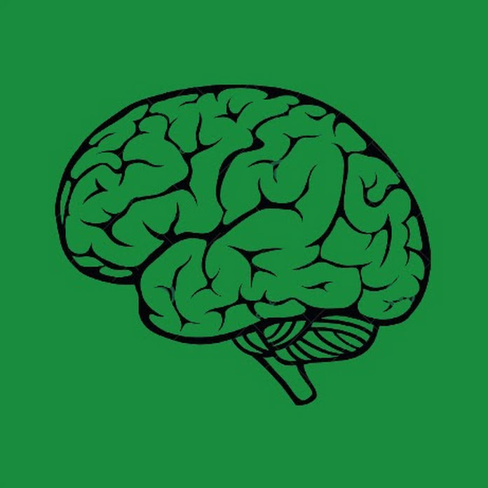 DrBrain Net Worth & Earnings (2025)