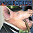 Swine Brothers