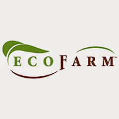 Thumbnail of related channel