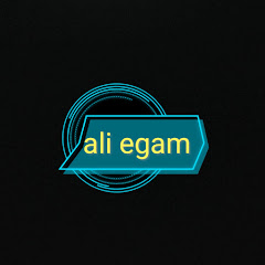 Ali Egam net worth